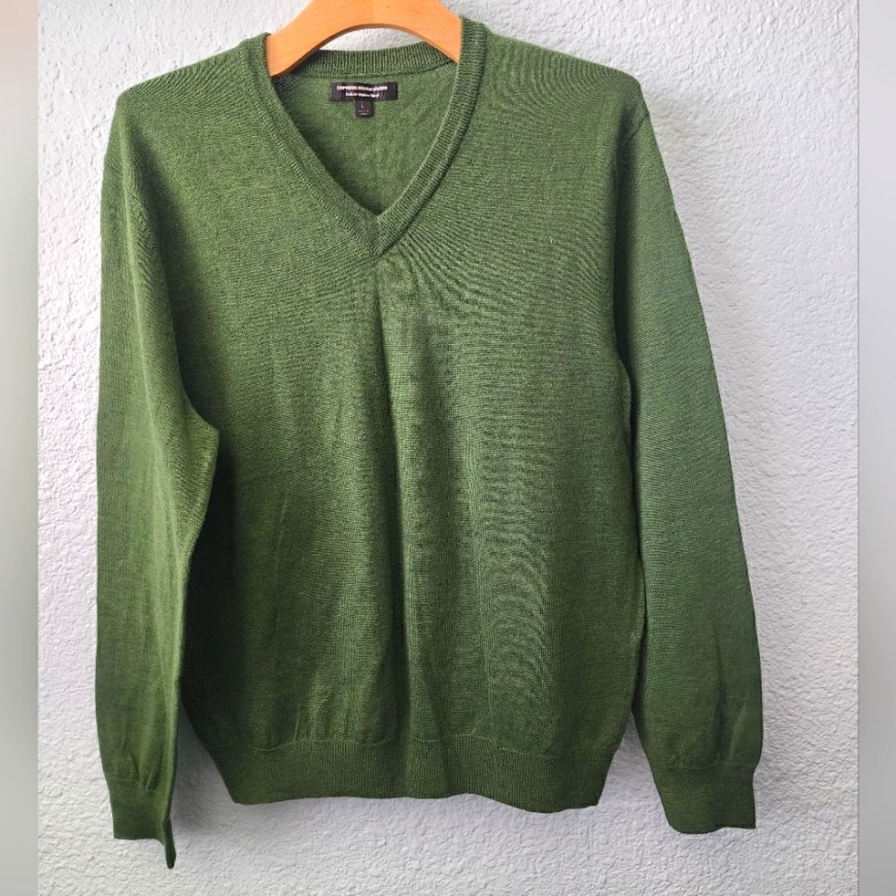 Express Design Studio Italian Merino Wool V-neck sweater